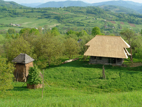 Foto magice renasteri (c) Petru Goja